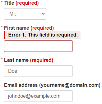 Screenshot of form fields showing a highlighted validation error