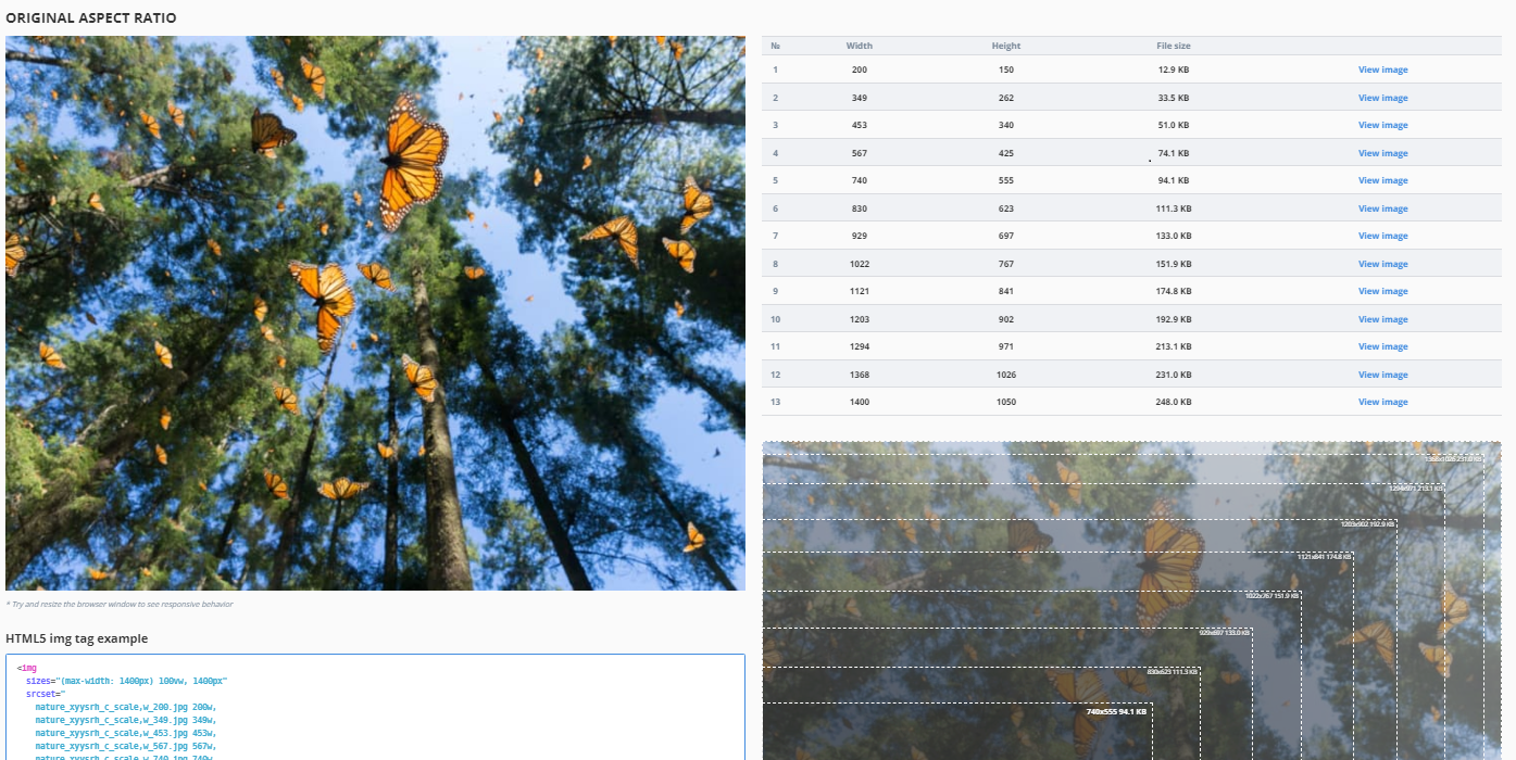 Screenshot of the Responsive Image Generator online tool showing responsive breakpoints and image dimensions